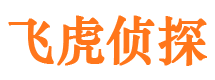 成武侦探公司